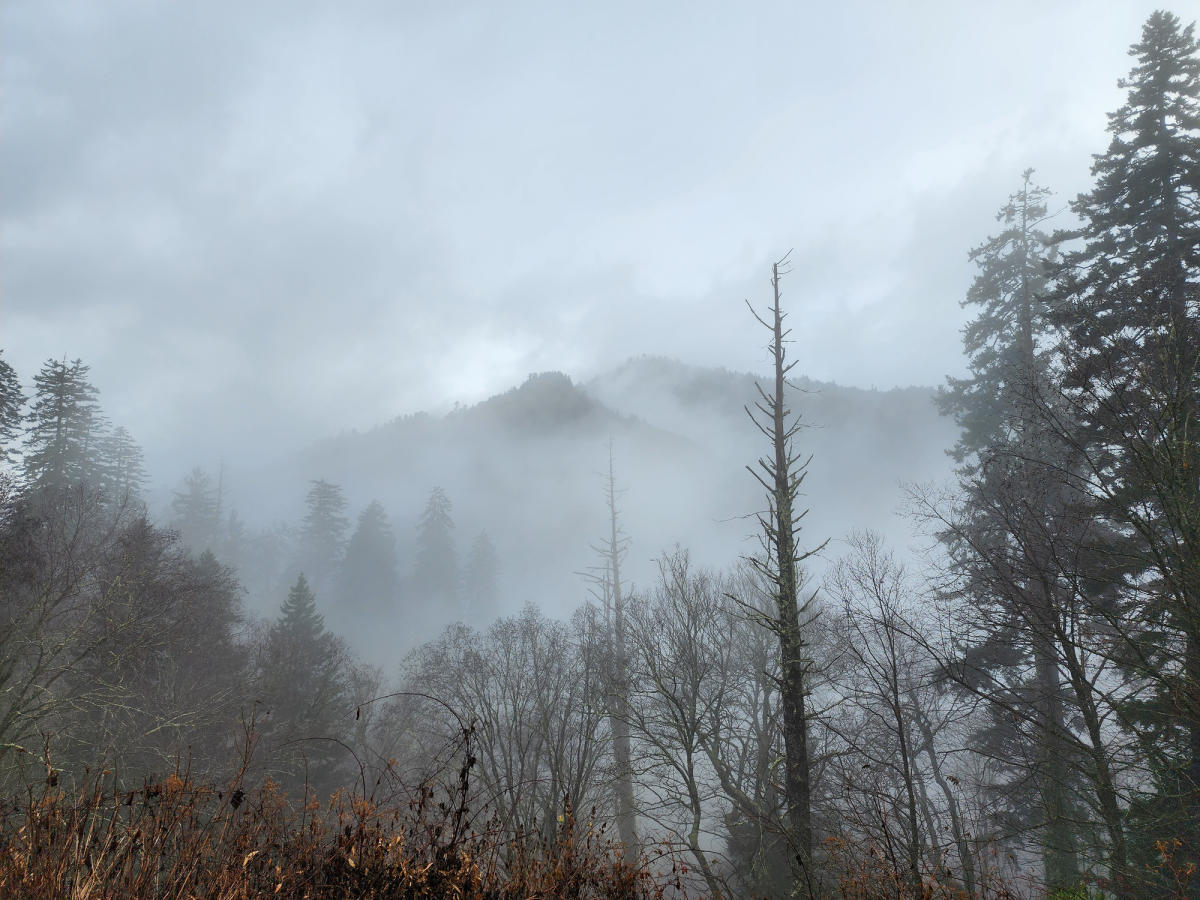 Spooky fog great smoky mountains
