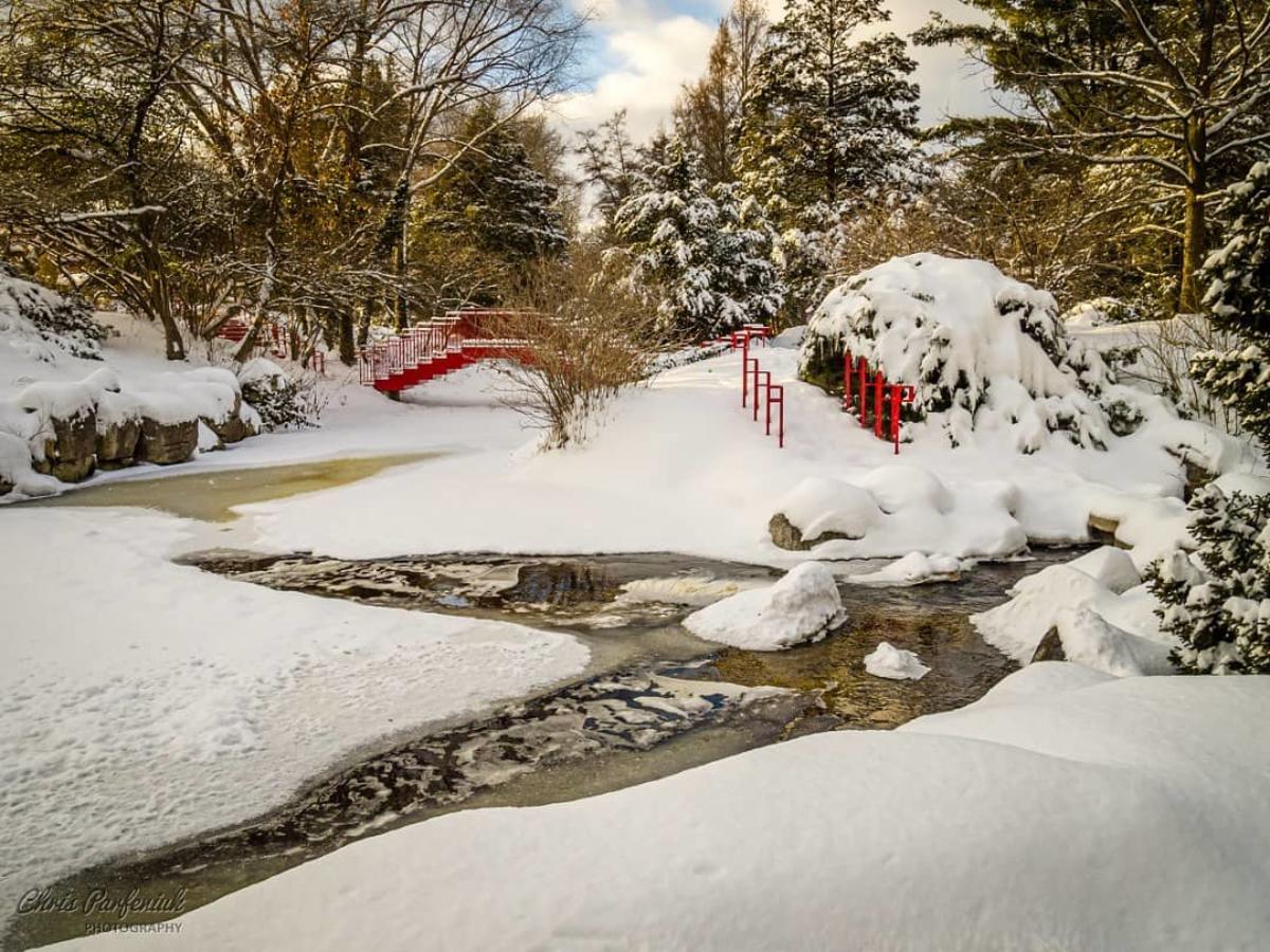 Red architectural bridges, trees, and a stream peeking out through a fresh blanket of fluffy white snow at Dow Gardens in Midland
