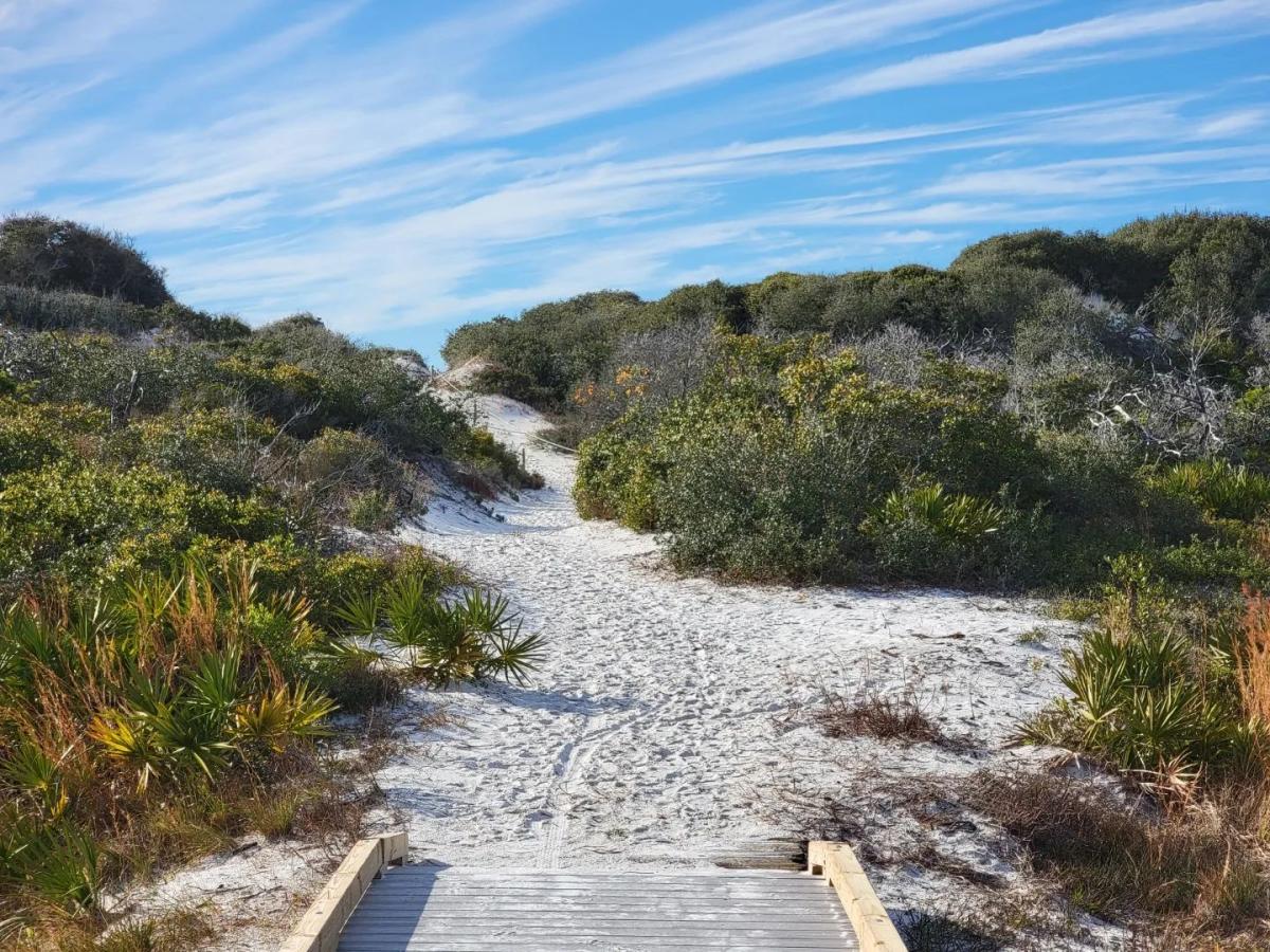 A beautiful landscape shot of a natural beach trail through the towering dunes at T.H. Stone Memorial St. Joseph Peninsula State Park