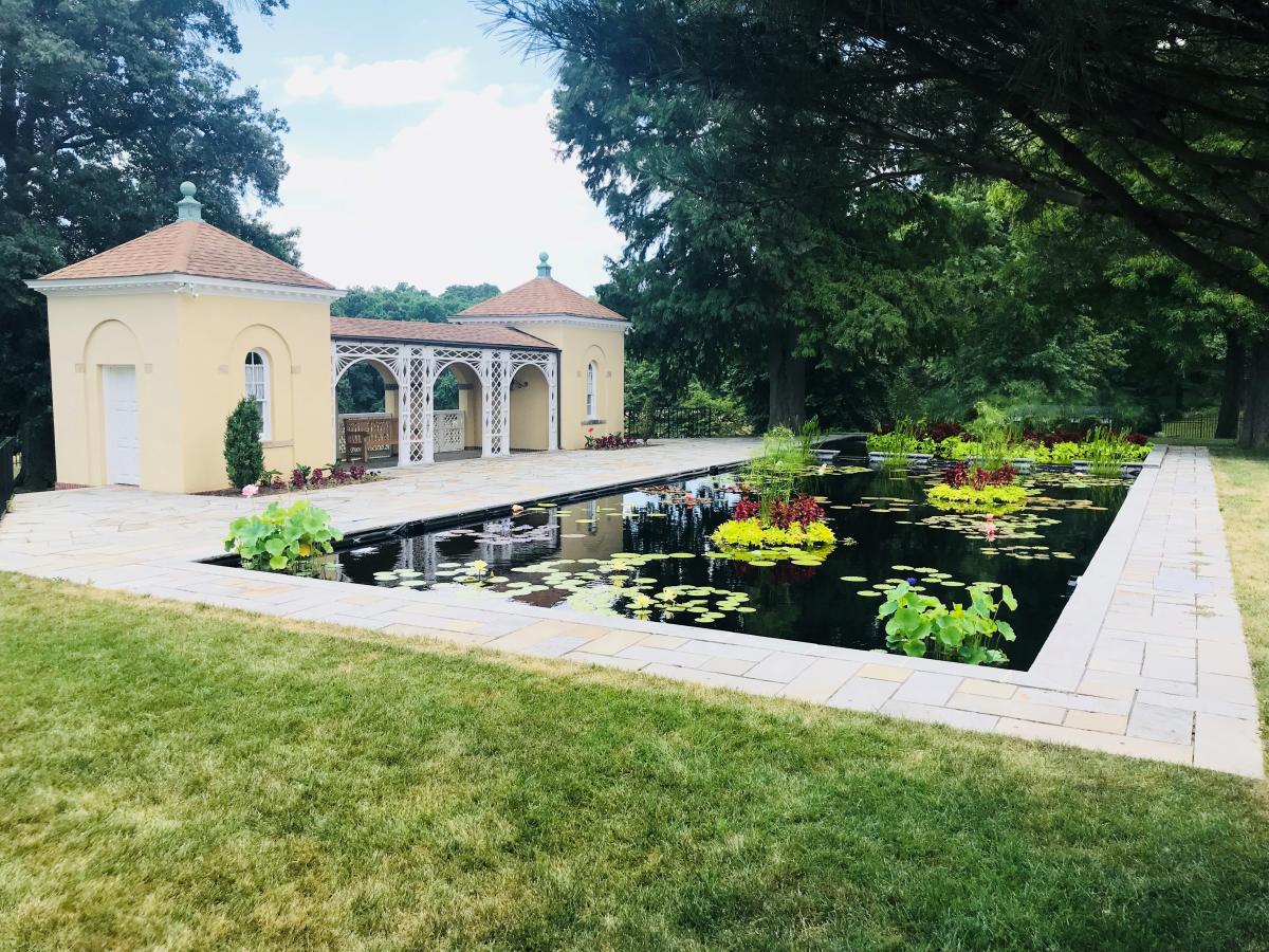 Belmont Manor Pond