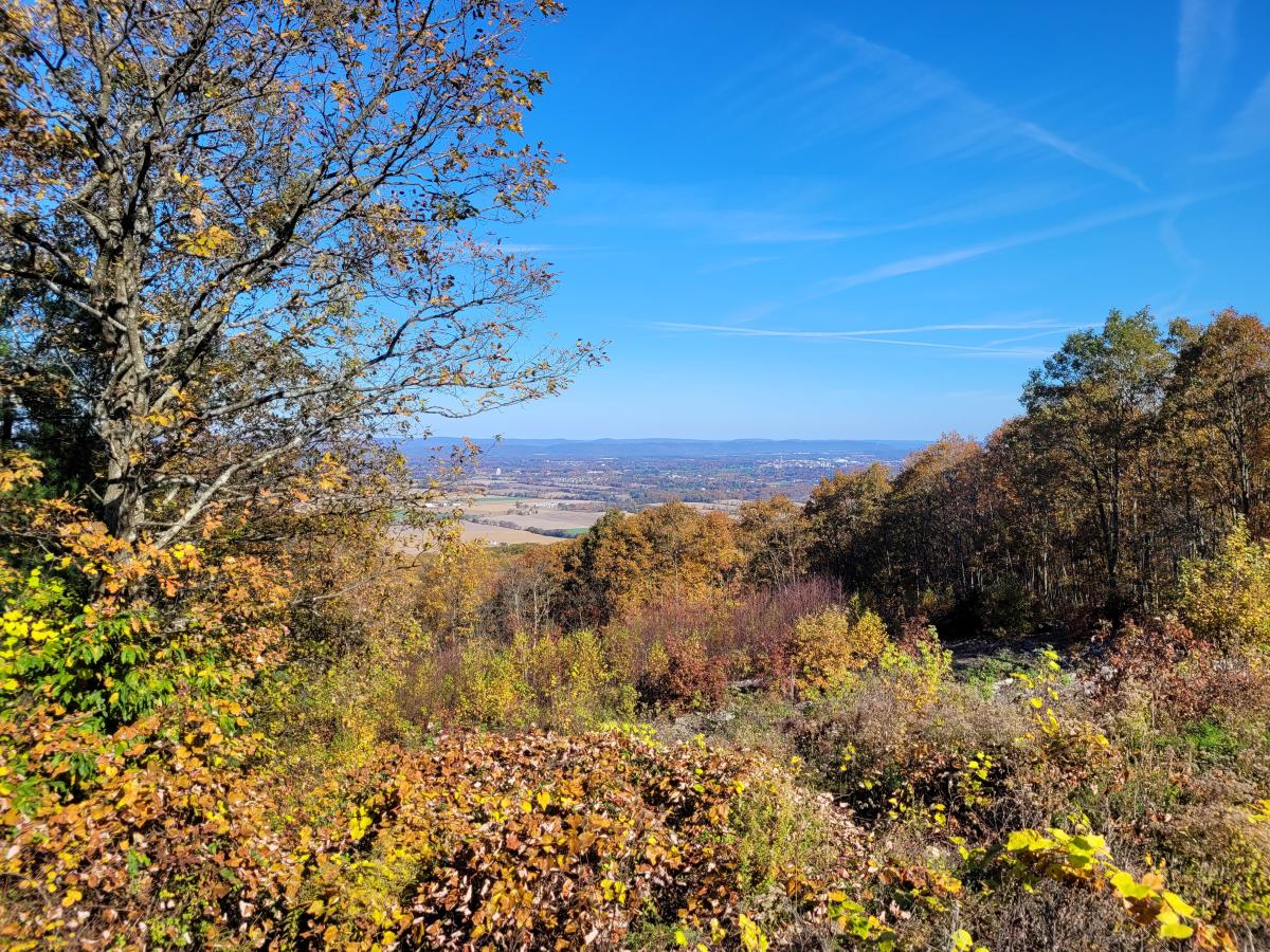 View from an overlook in Rothrock State Forest
