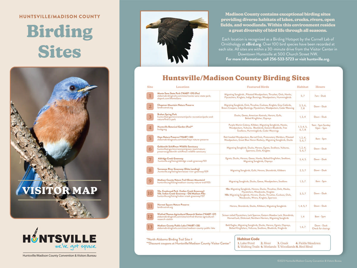 Birding Brochure