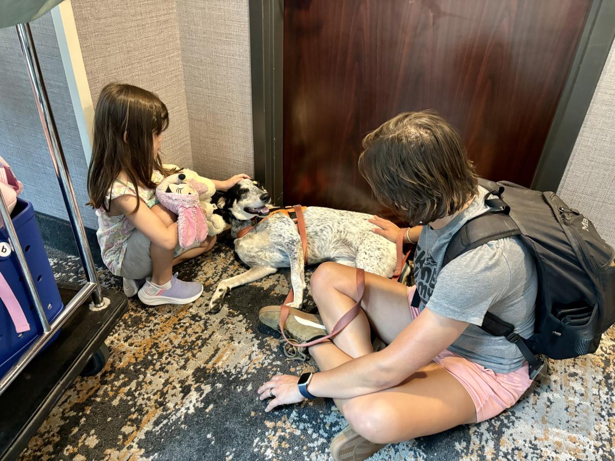 Embassy Suites Pets