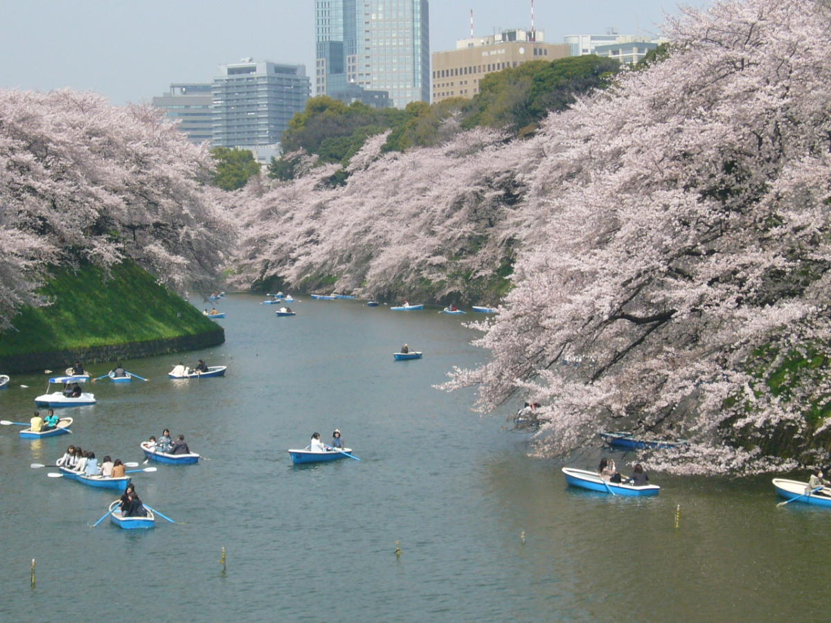 Chidorigafuchi