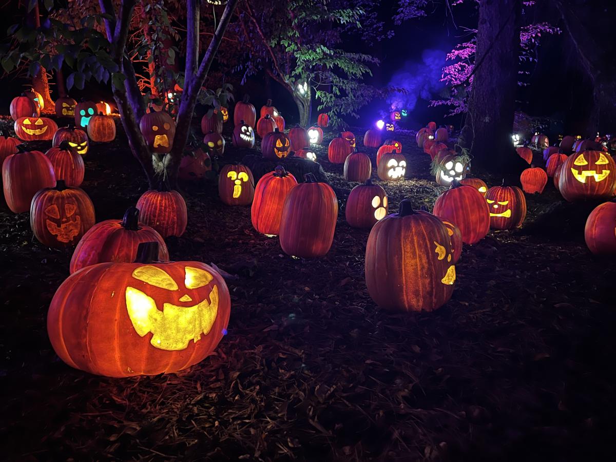 Newfields Harvest Nights