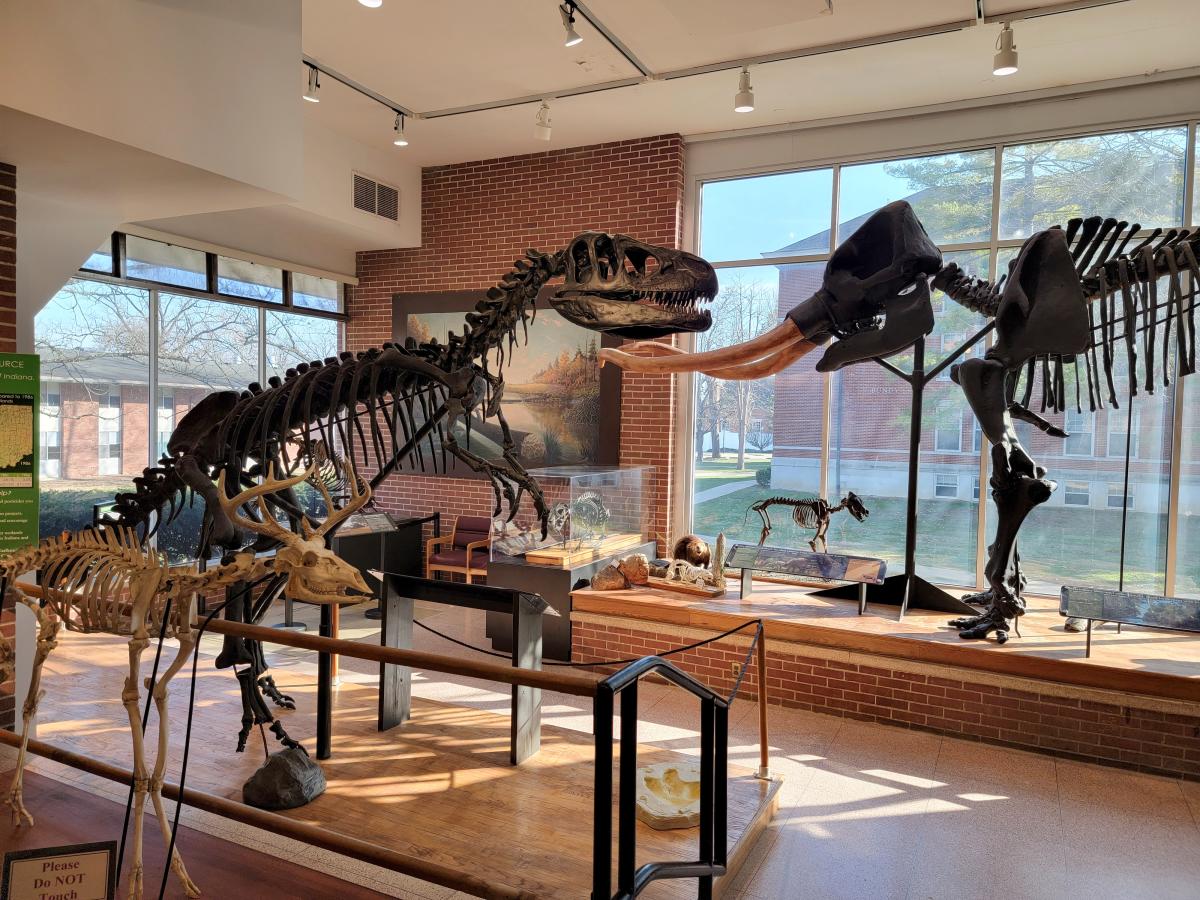 Joseph Moore Museum - Wayne County