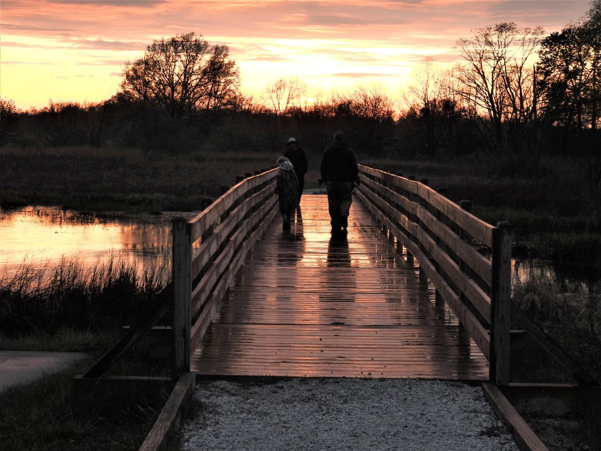 Loblolly Marsh Nature Preserve