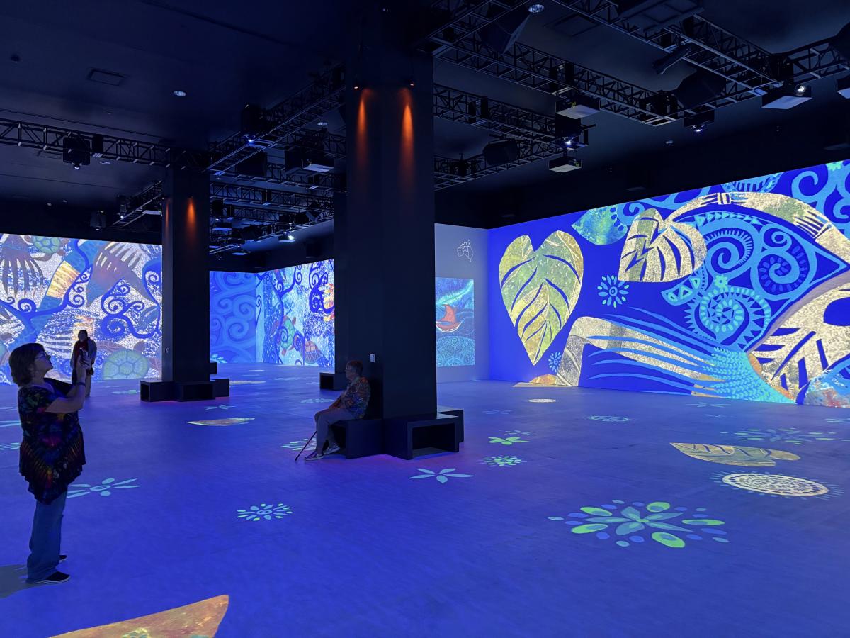 THE LUME “Connection: Land, Water, Sky – Art & Music from Indigenous Australians Newfields