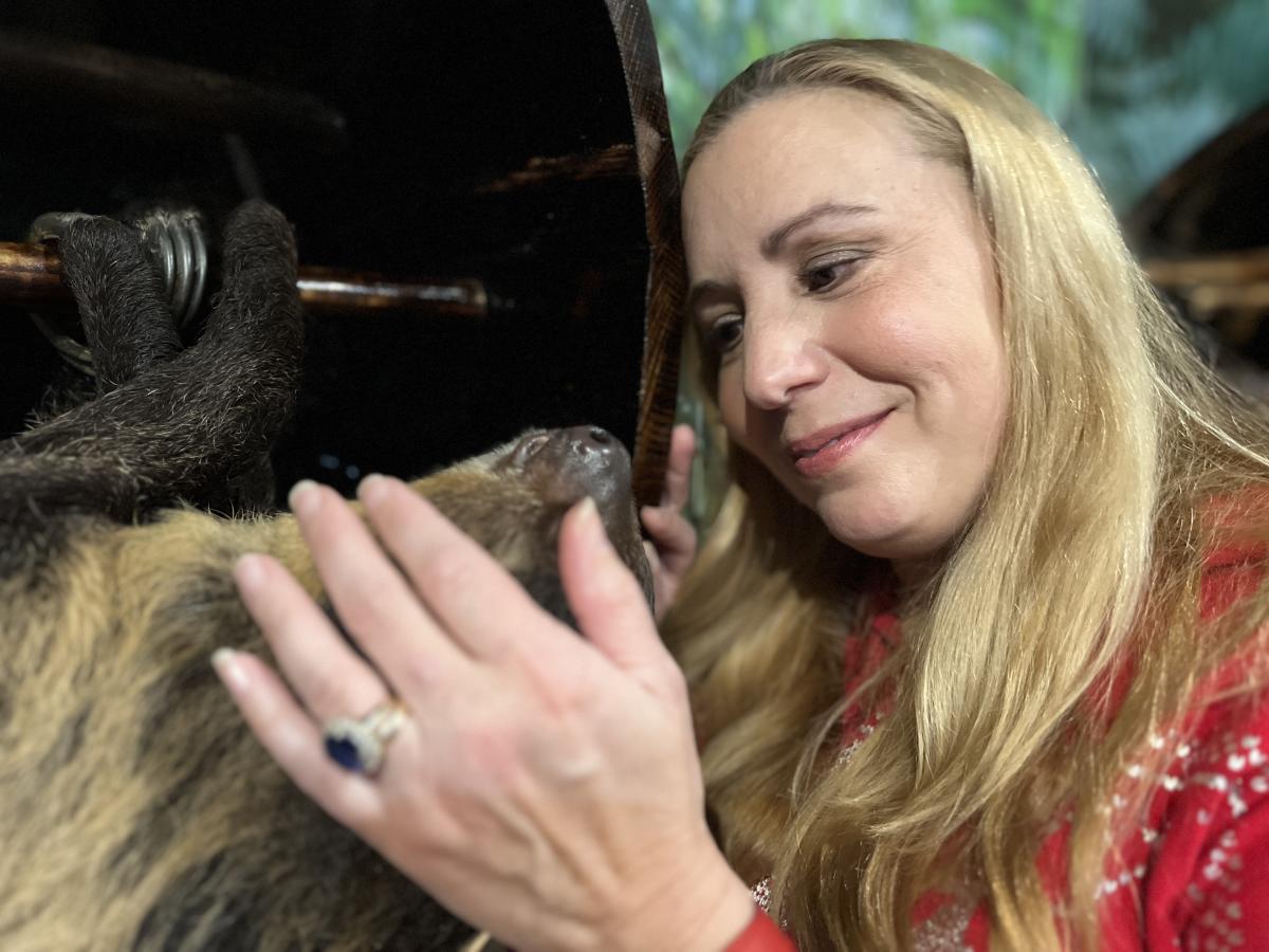 sloth encounter at Wilstem Wildlife Park - petting