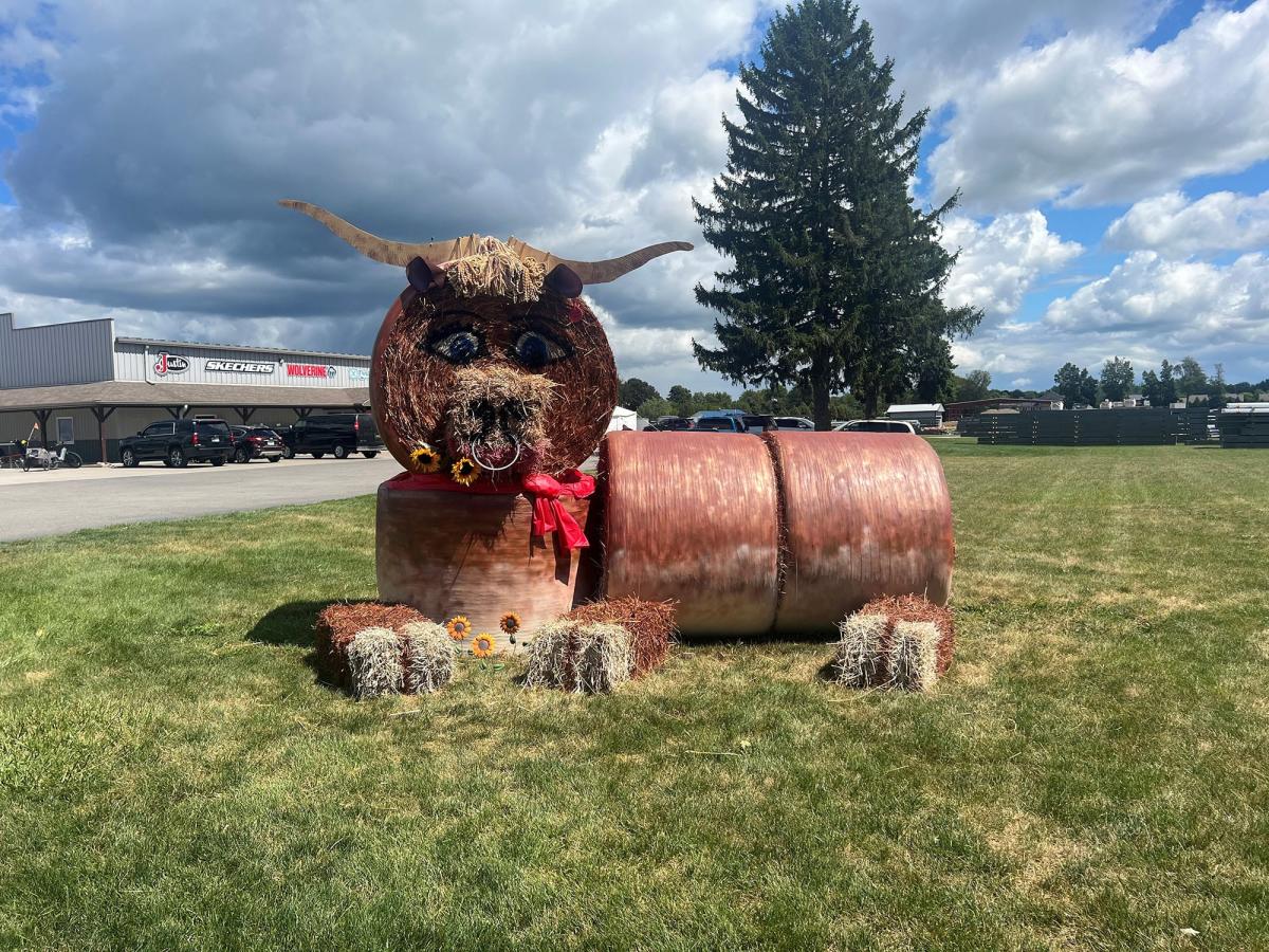 Lavern the steer in shipshewana - painted hay bales