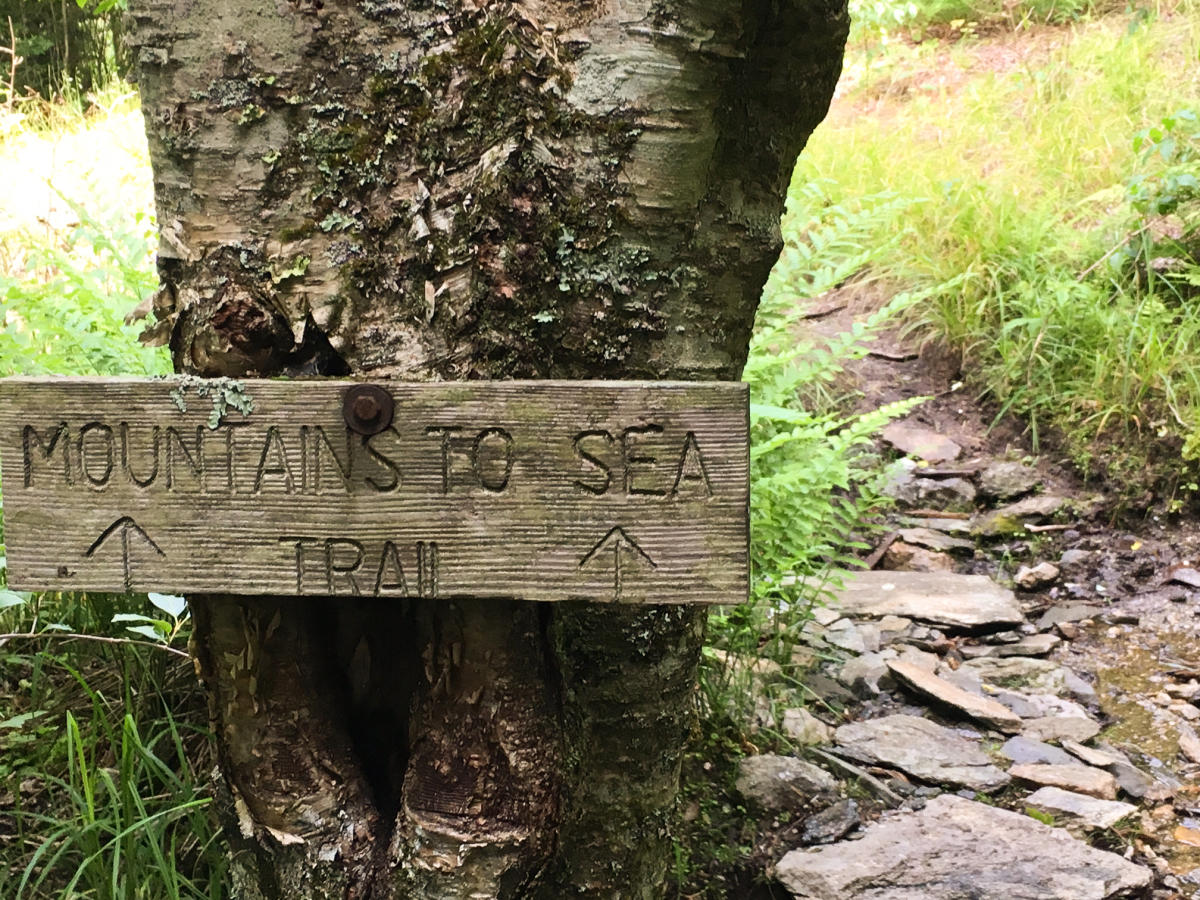 MST_Blog_016_269e7cb6-fa0d-4729-9e11-1a89cd95ec23