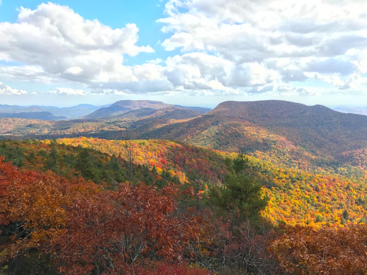 Cashiers, NC Leaf Color