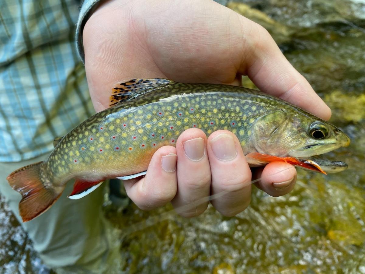 tuckflyshop_Instagram_1563_ig_17849297798806303_1_1c5f3e36-cfed-4c6e-9c5a-60b73570b796