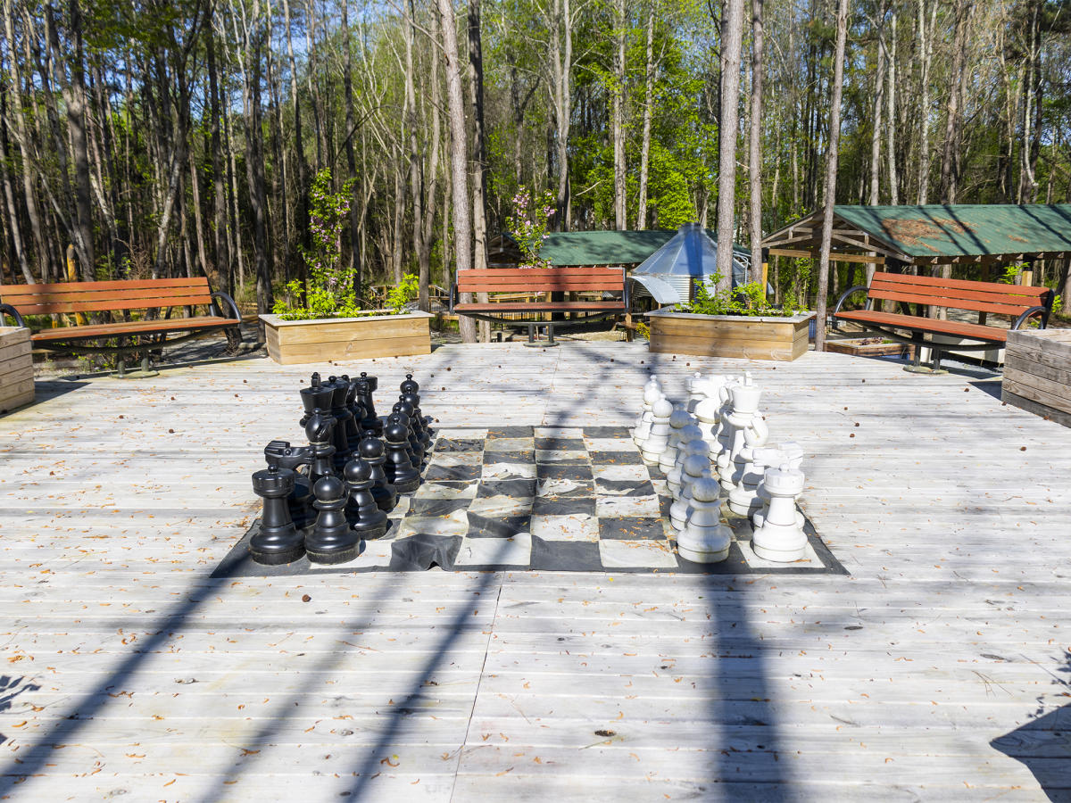 Hand Picked Nursery Chess Checkers Board