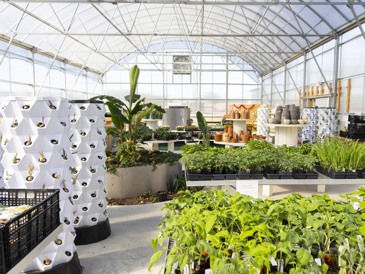 Hand Picked Nursery Wide Shot of Interior of Greenhouse