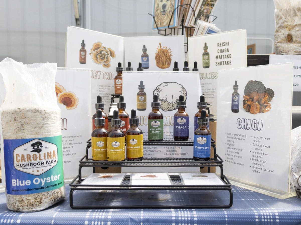 Hand Picked Nursery Mushroom Tinctures and Grow Kits