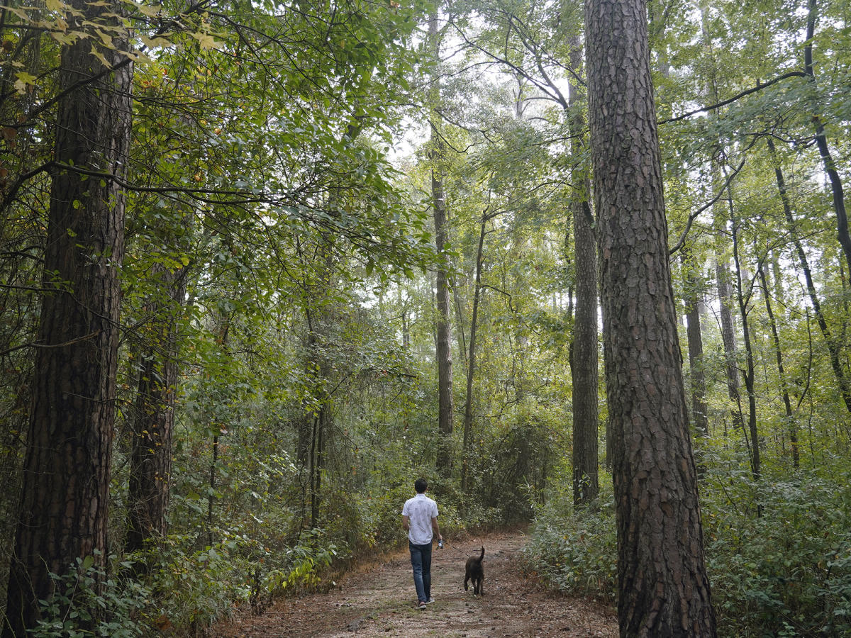 A picture from Travel to Blank showing a man walking his dog in Howell Woods, Four Oaks, NC.