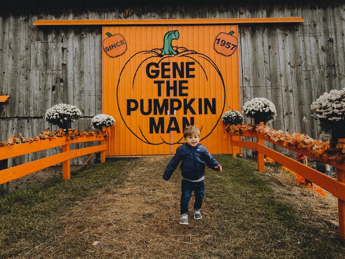 A child at Gene the Pumpkin Man, a pumpkin farm