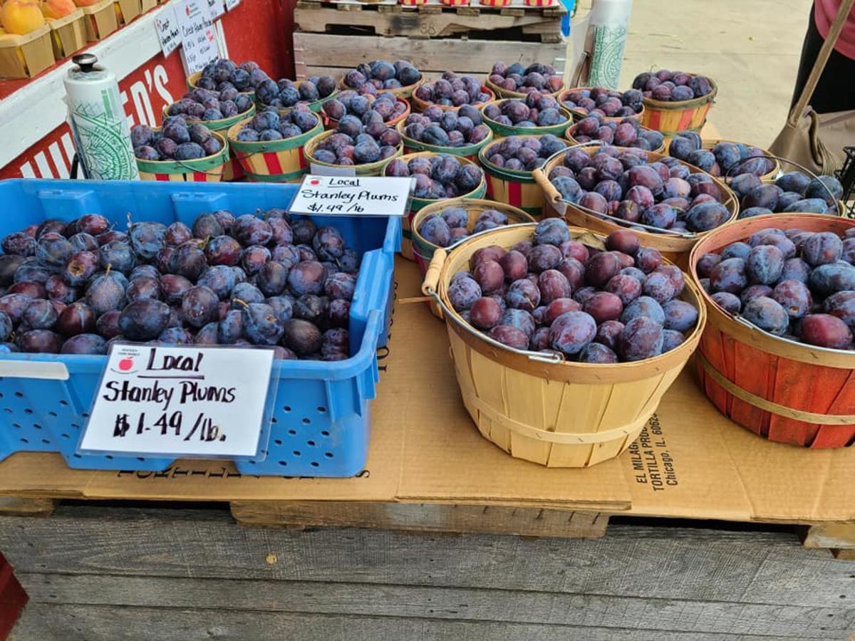 A variety of plums, blueberries, and other fruits sit in baskets at a farmers market stall in Kalamazoo County, MI.