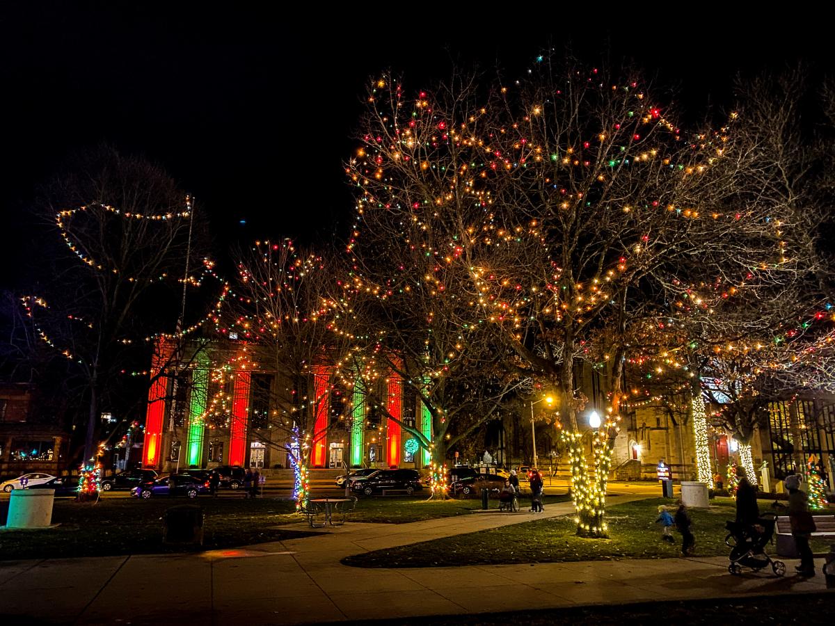 Bronson Park Holiday Lights