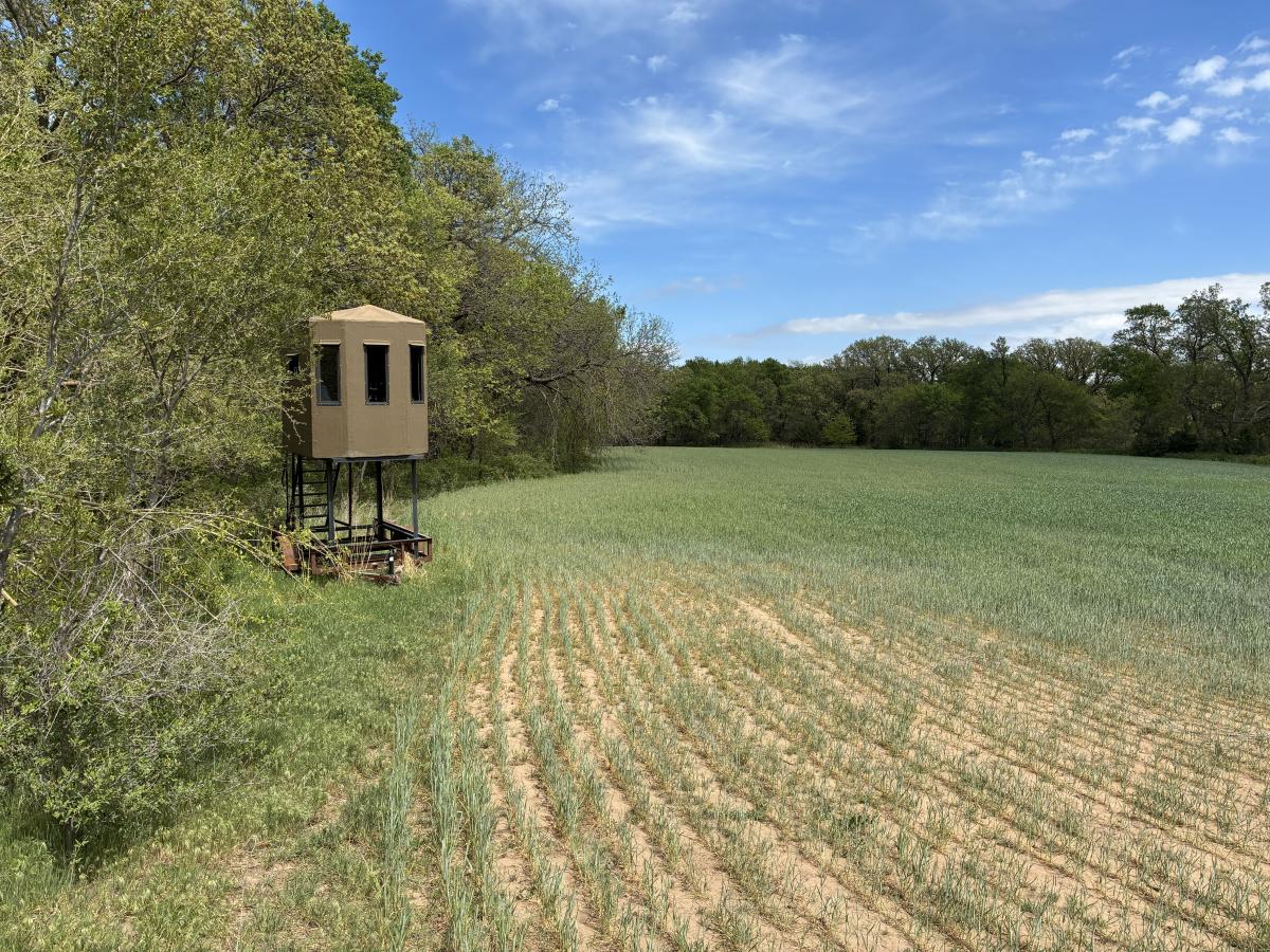 Spring Turkey Hunt - Ellsworth