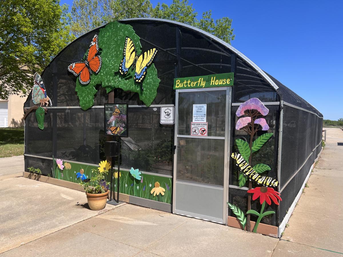 Butterflies at Milford Nature Center