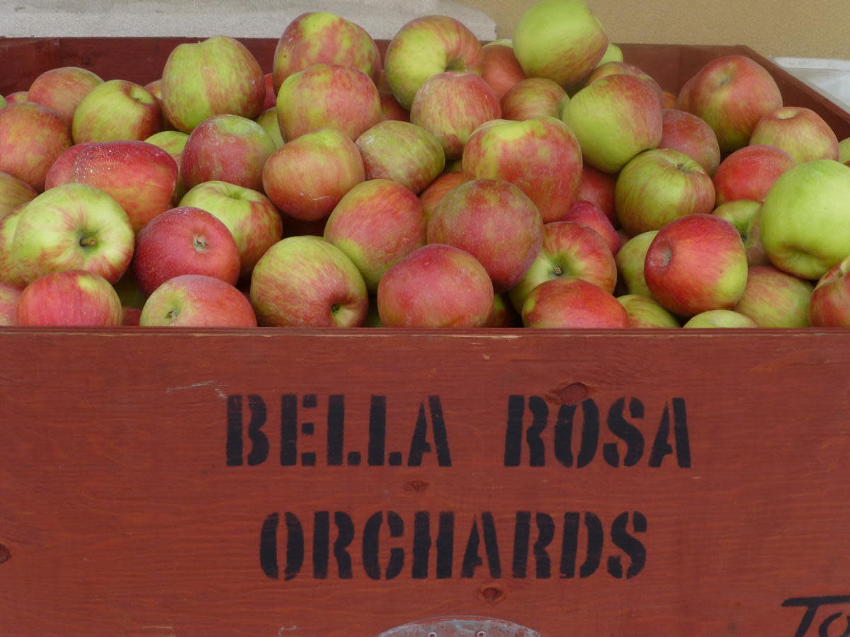 Bella Rosa Orchards