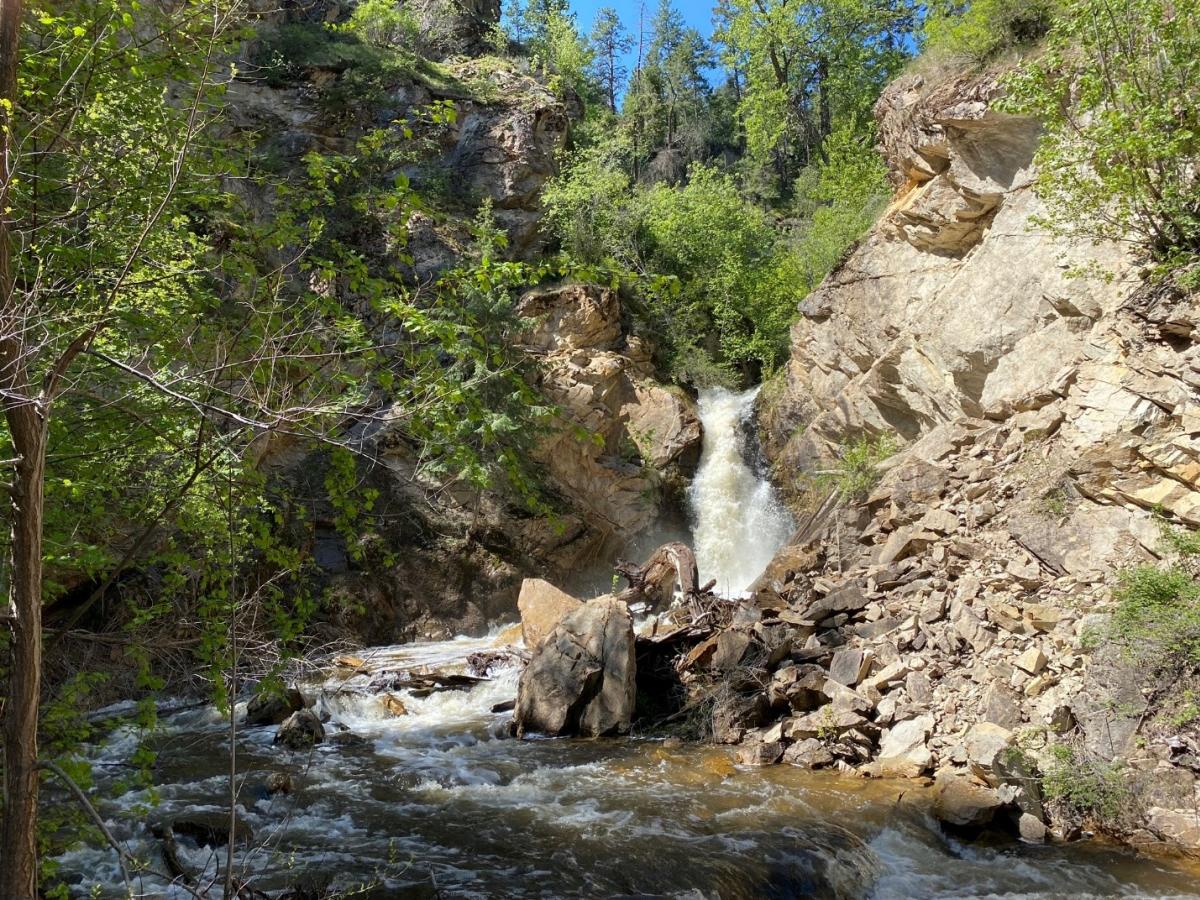 Waterfall flowing into a river surrounded by trees