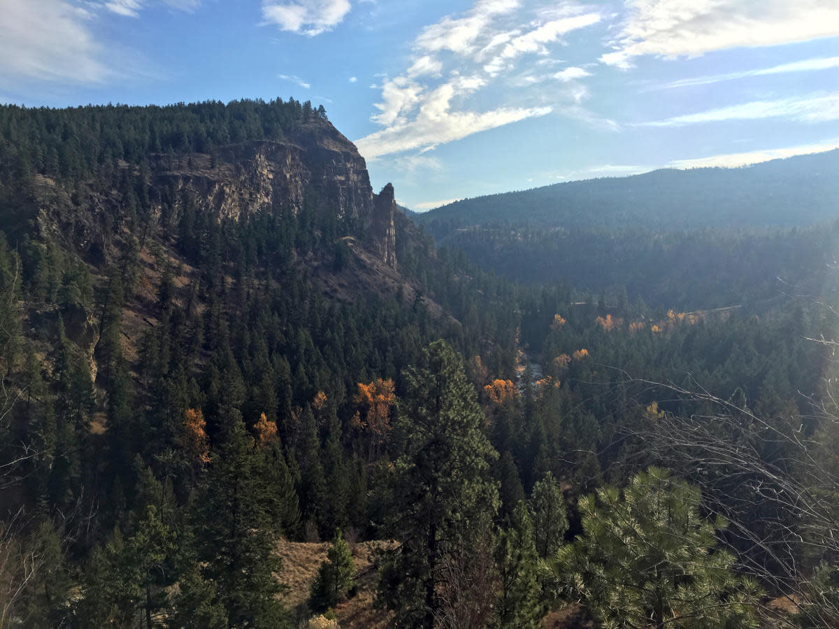 Scenic Canyon