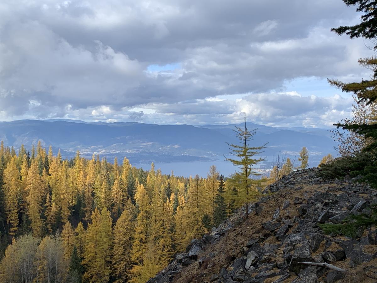 View from KVR near the Boulderfields in fall with yellow needles on the larch trees