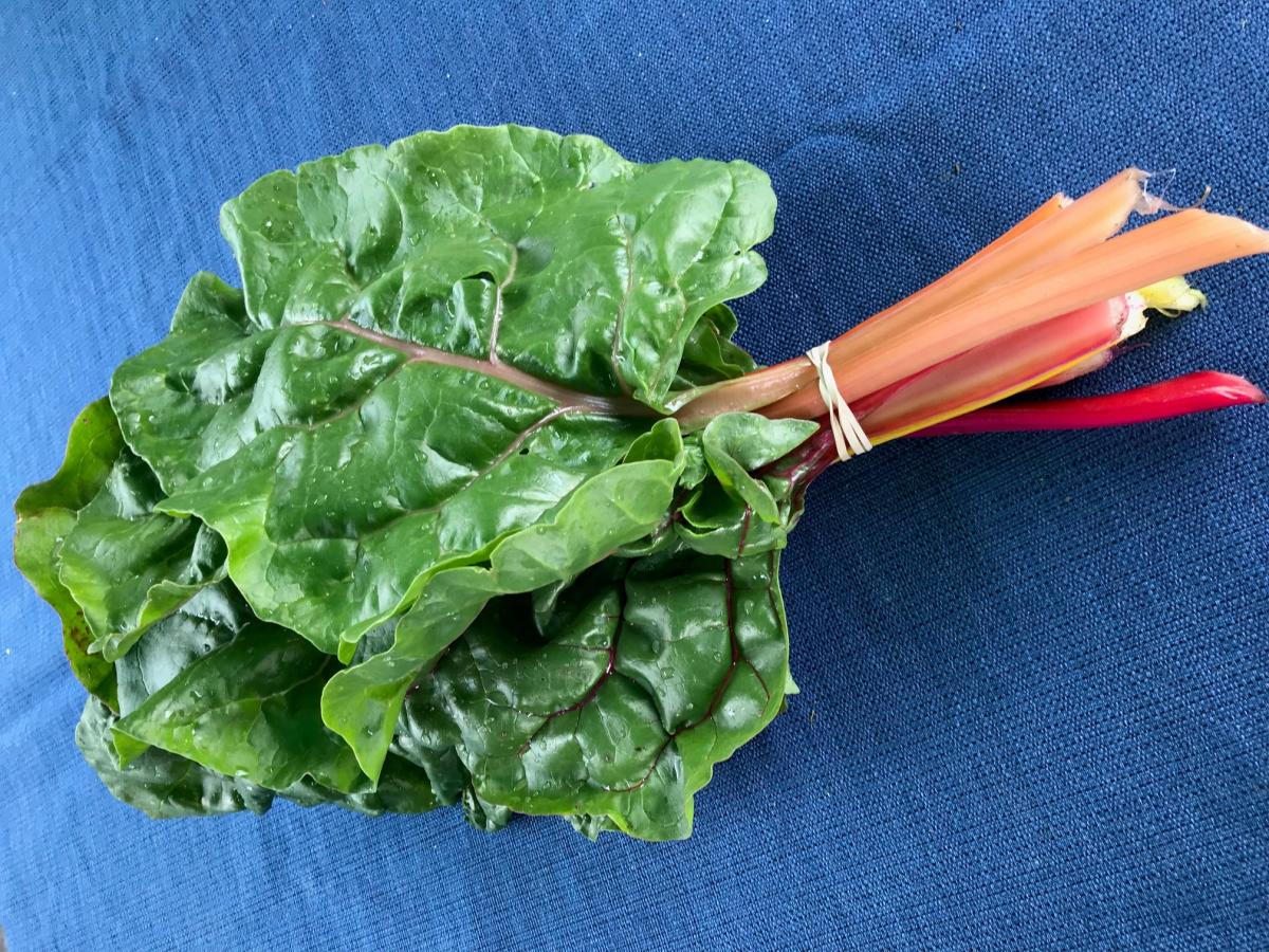 Rainbow Chard