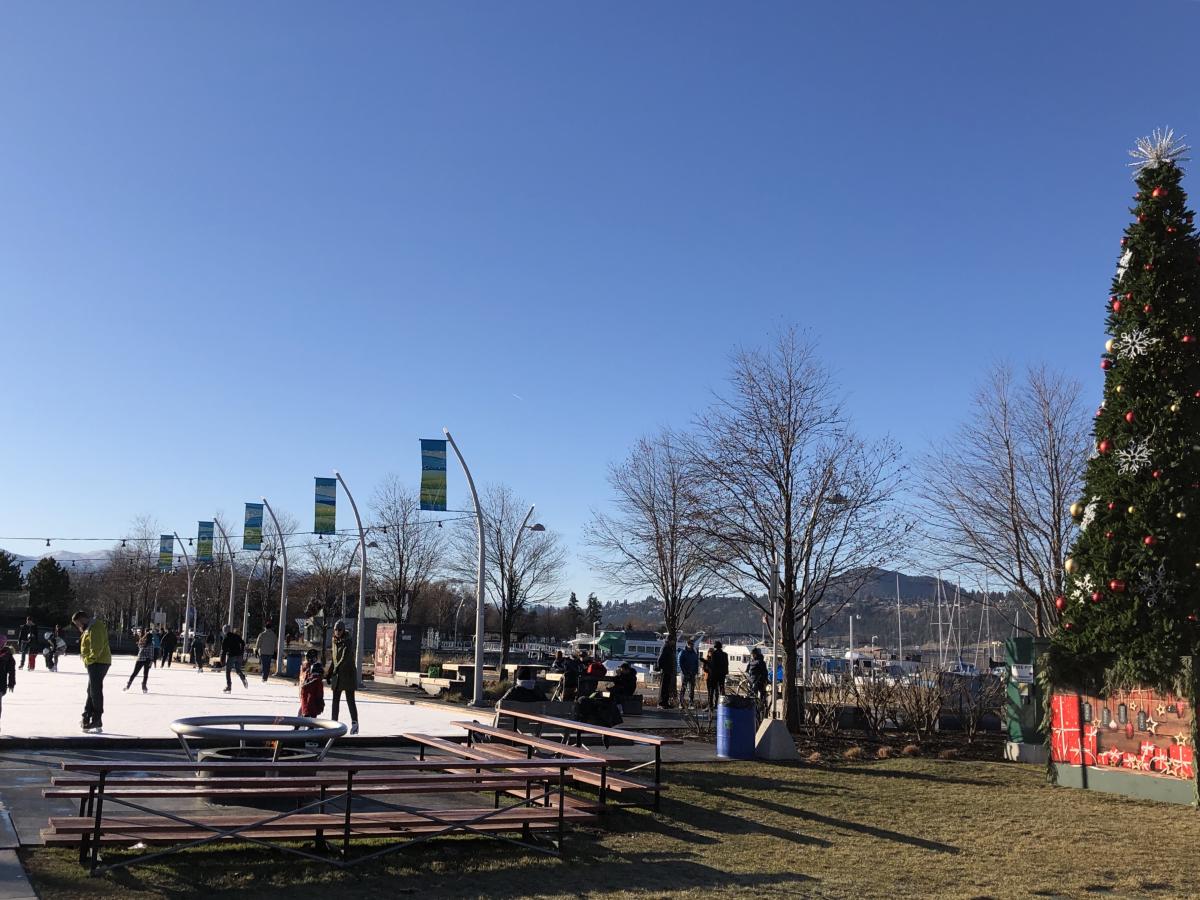 A crowd of people skating on the Ice rink at Stuart Park