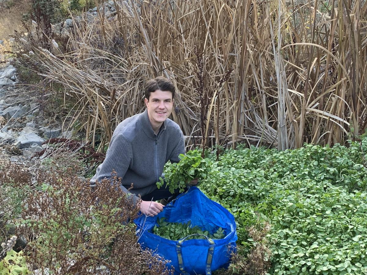 Scott Moran harvesting watercress