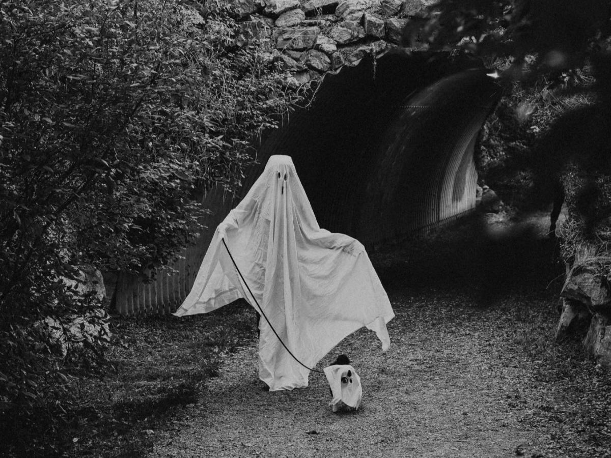 Halloween Person and Dog Dressed as Ghosts
