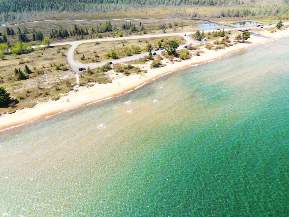 clear waters meet an arcing beach dotted with pines