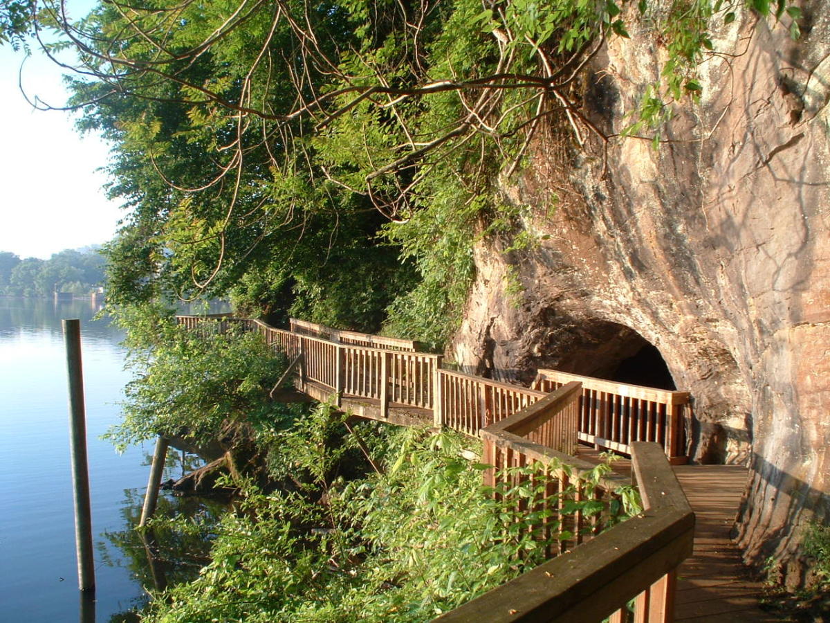 Ijams Boardwalk