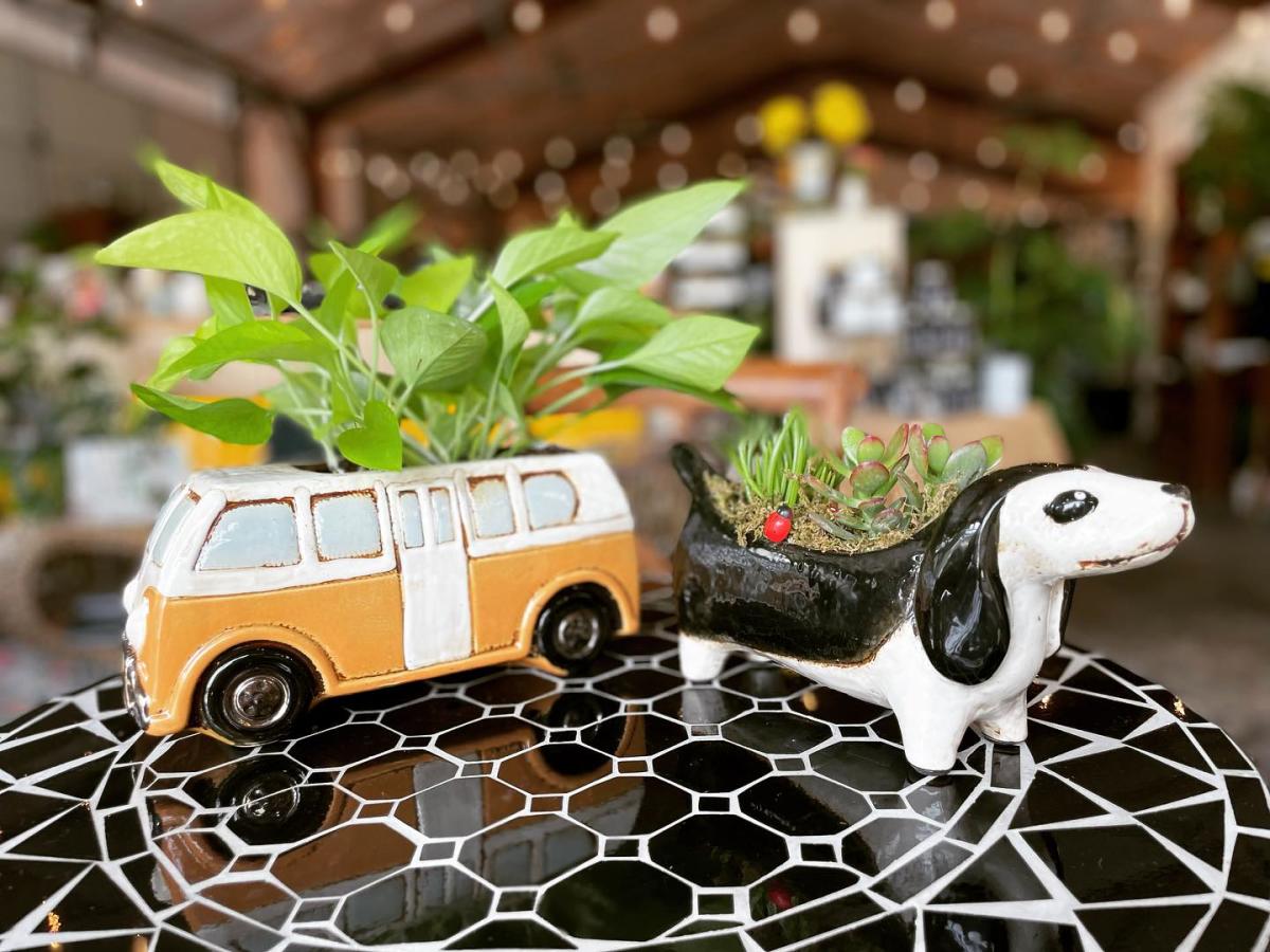 Coffeeweed Cottage