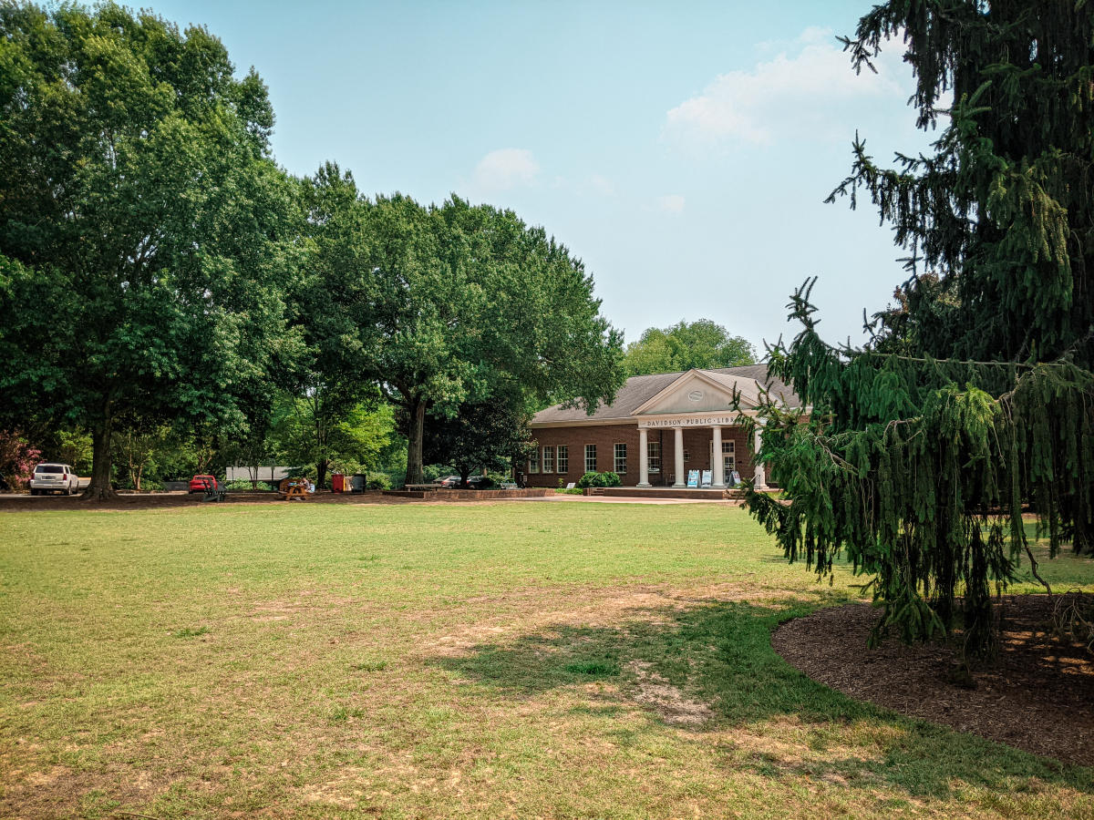 Davidson green