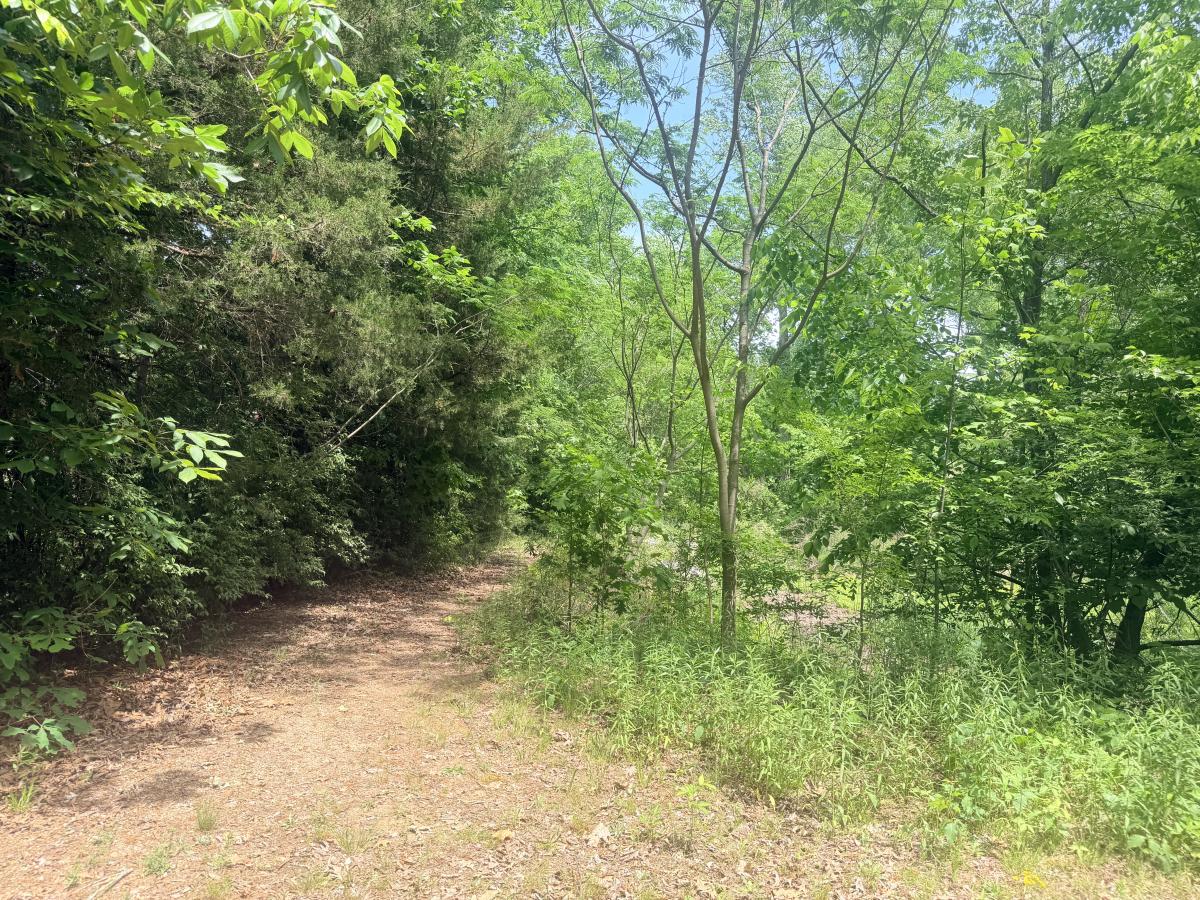 Randall R. Kincaid Trail