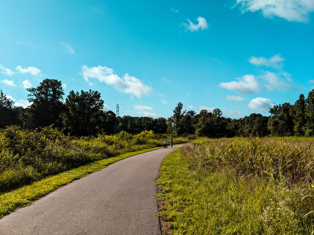 Kids On A Path In Fisher Farm Park