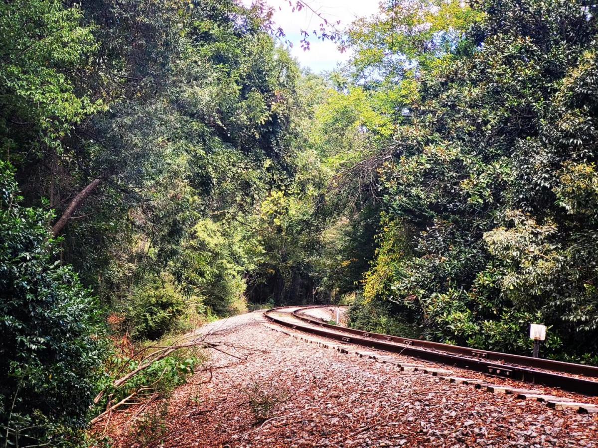 Railroad Tracks in Davidson