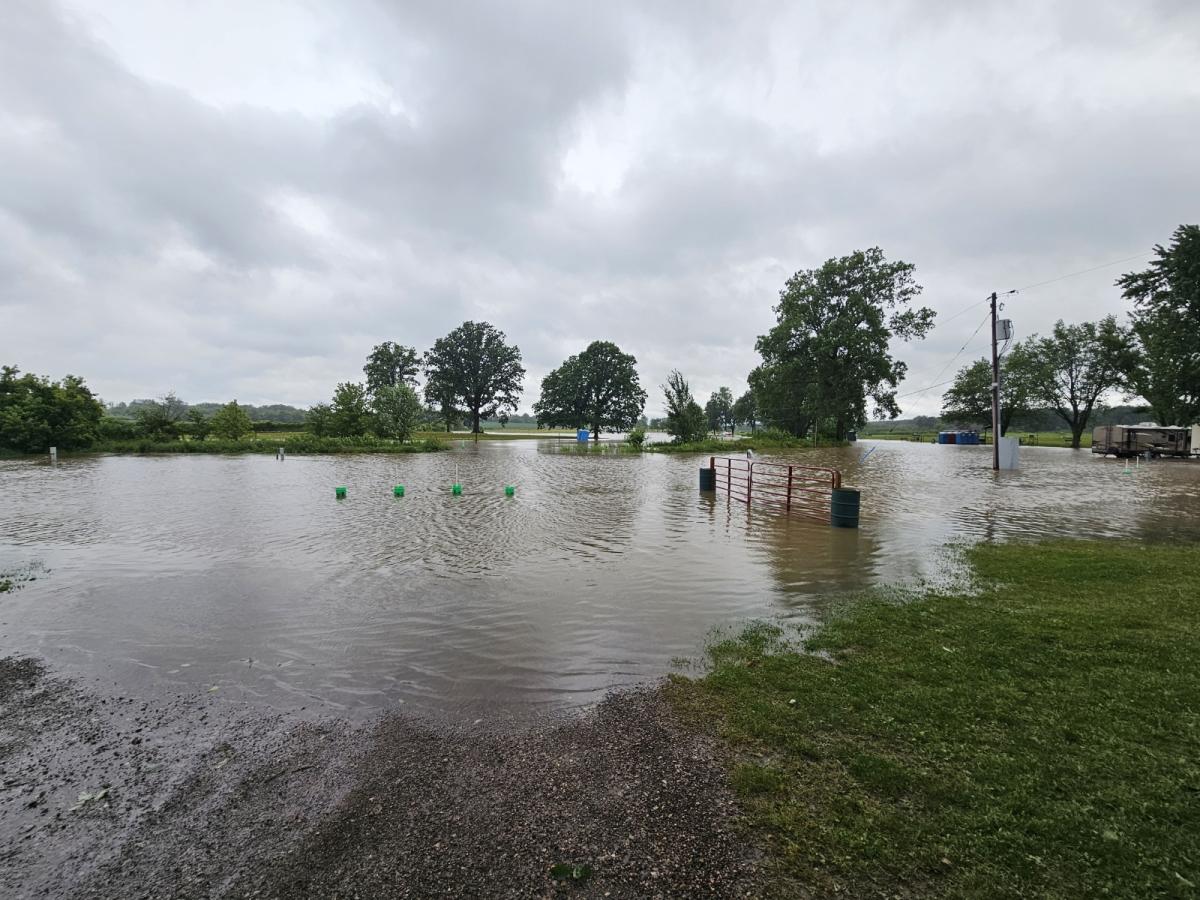 Flooded grassy area at MTA Homegrounds.
