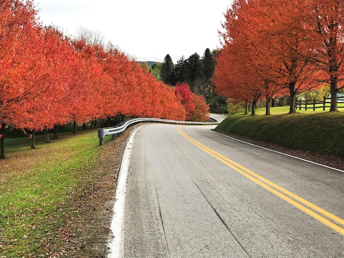 Fall foliage makes its way to Pennsylvania