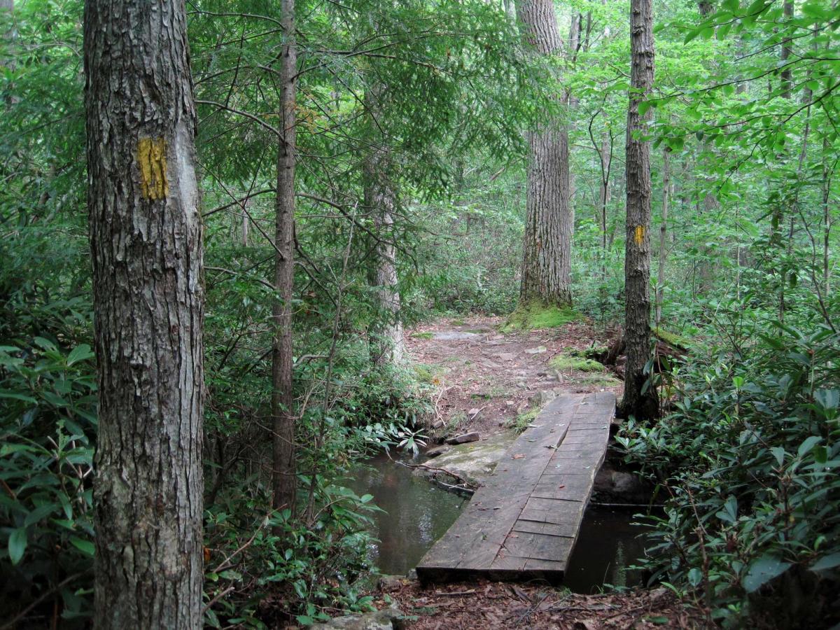 Laurel Highlands Hiking Trail