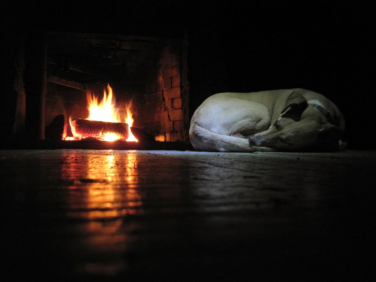 Man's Best Friend snoozes by fire at LHHT shelter