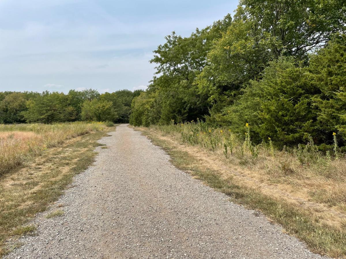 Mutt Run trail Birding Blog