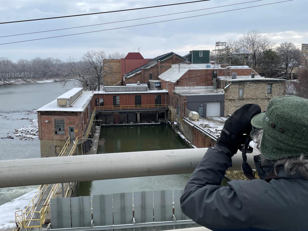 Birding - Bowersock Mill / Kaw River