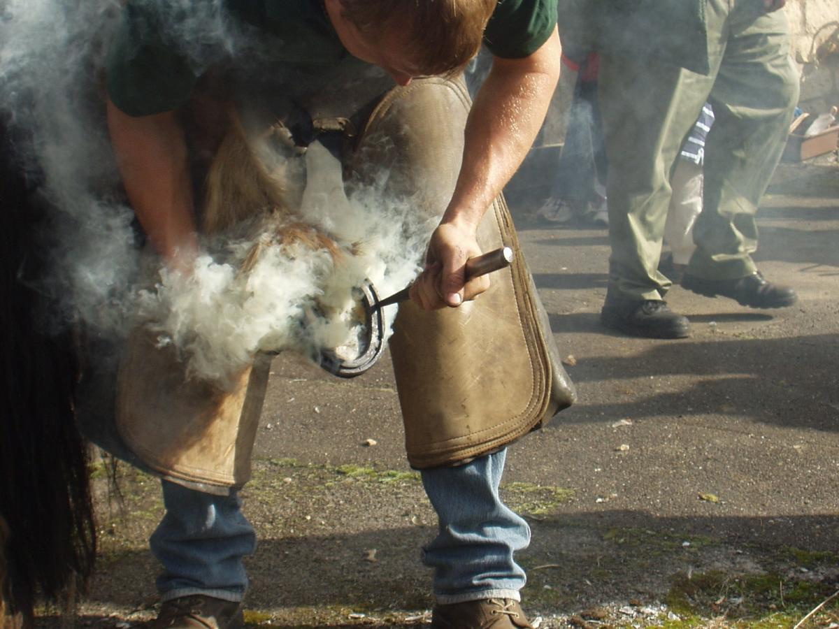 A man working on a horses hoof at Welbourne Forge, Lincoln