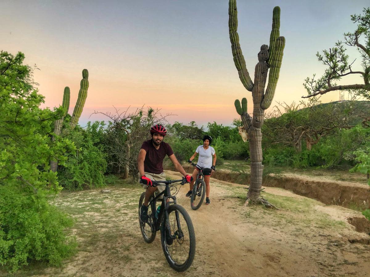 Biking near a cactus