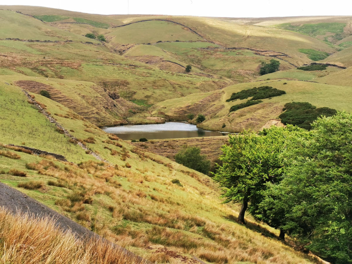 Do not reuse the image.